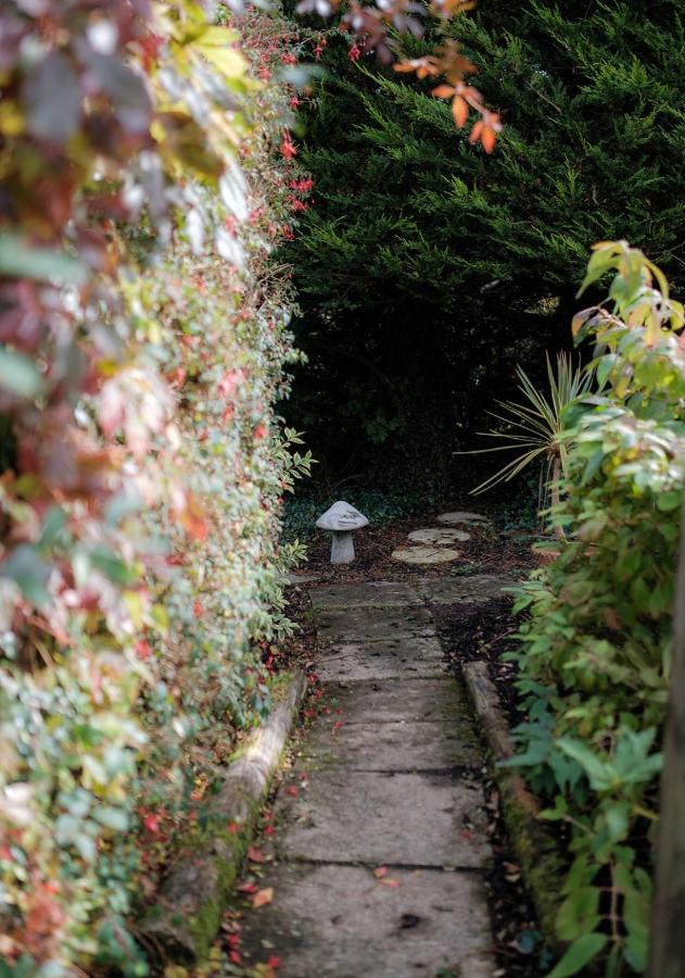 The Cottage @ Burkedale House Corofin  Luaran gambar