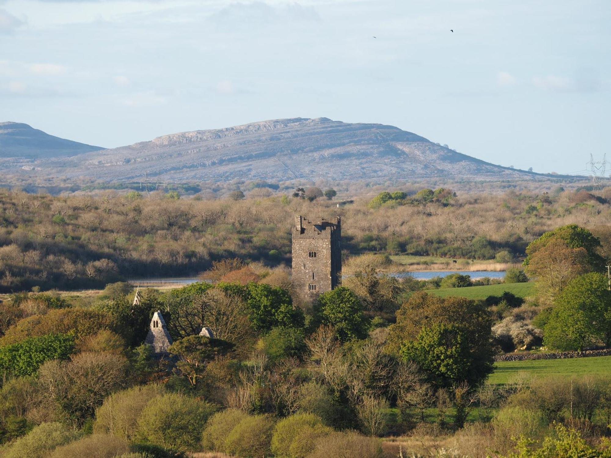 The Cottage @ Burkedale House Corofin  Luaran gambar